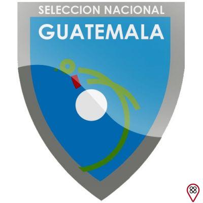 Todos os emblemas da seleção nacional do Dream League Soccer aqui